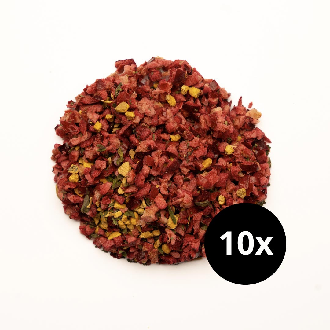 Marjatee INGVER JA JÕHVIKAS x10